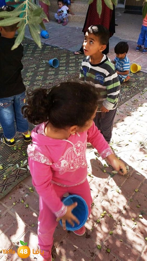 alkeram zatoon3 (11).jpg